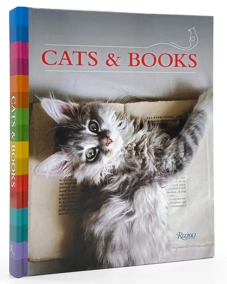 Books: Photography / Art / Graphic Novels